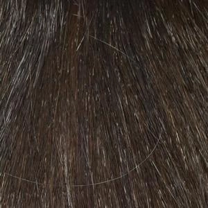 Ava Wig by Envy | Human Hair Blend (Capless, Mono Part, Lace Front)