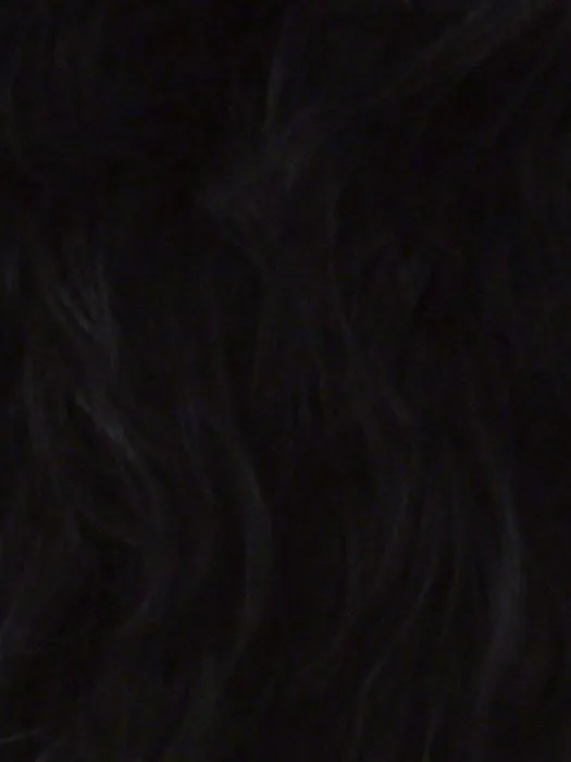 Braxton by Vivica Fox | Synthetic Wig (Basic Cap)