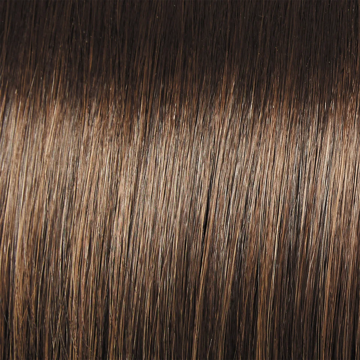 Dress Rehearsal Wig by Raquel Welch | Heat Friendly Synthetic (Lace Front Mono)
