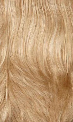 Gianna Wig by Henry Margu | Synthetic (Lace Front Mono Top)