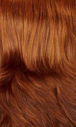 Holly Wig by Henry Margu | Synthetic (Traditional Cap)