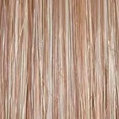 Stroke of Genius Wig by Raquel Welch | Heat Friendly Synthetic Curly Layered (Mono)
