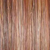 Stroke of Genius Wig by Raquel Welch | Heat Friendly Synthetic Curly Layered (Mono)