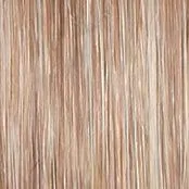 Stroke of Genius Wig by Raquel Welch | Heat Friendly Synthetic Curly Layered (Mono)