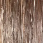 Stroke of Genius Wig by Raquel Welch | Heat Friendly Synthetic Curly Layered (Mono)
