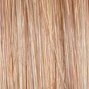 Stroke of Genius Wig by Raquel Welch | Heat Friendly Synthetic Curly Layered (Mono)